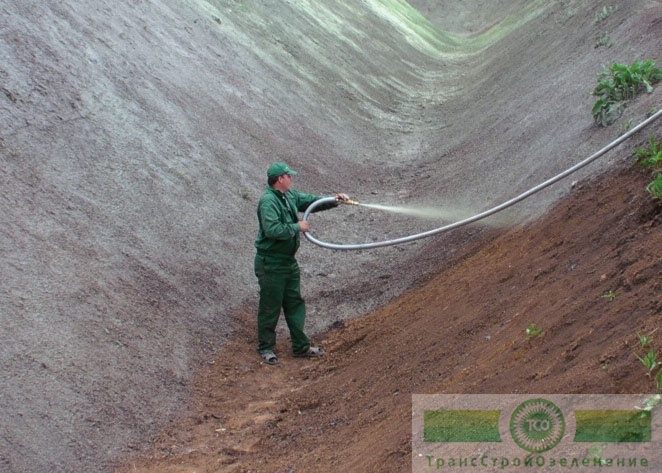 Что такое гидропосев