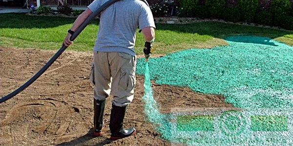 Эффективное озеленение больших площадей