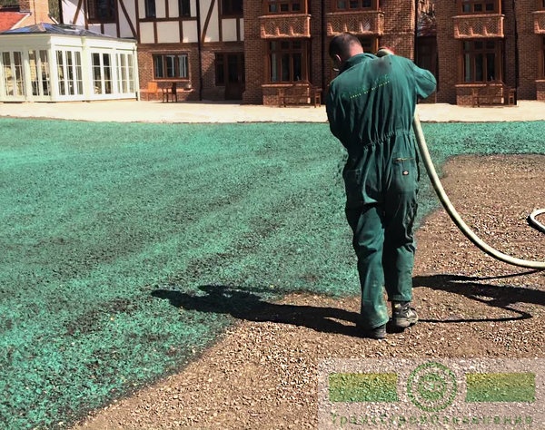 Озеленение жидким газоном