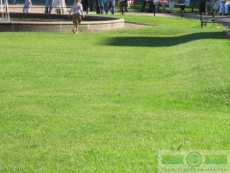 фото Для города