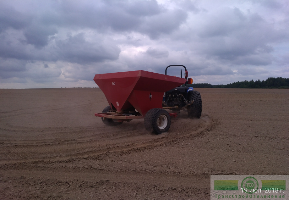 фото Технология производства газона