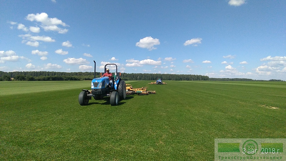 фото Технология производства газона