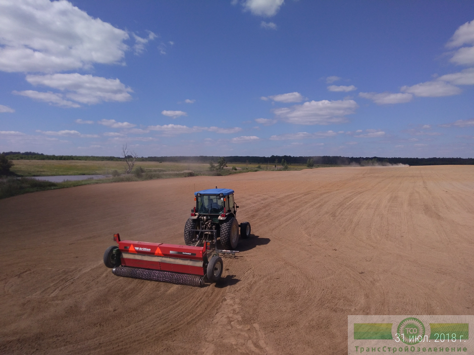 фото Технология производства газона