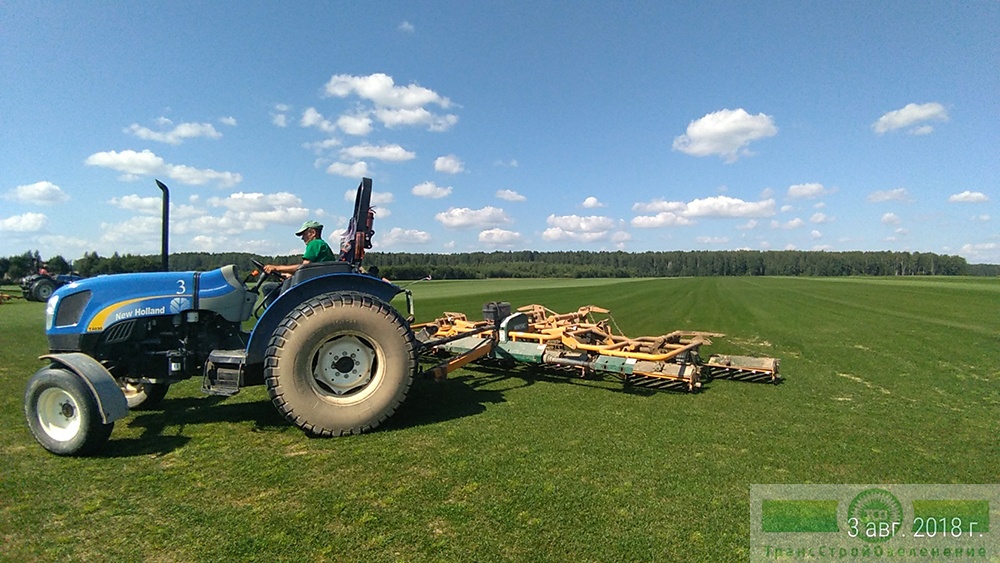 фото Технология производства газона