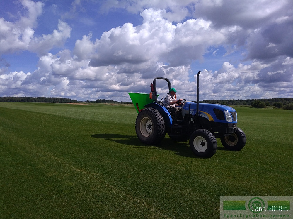 фото Технология производства газона