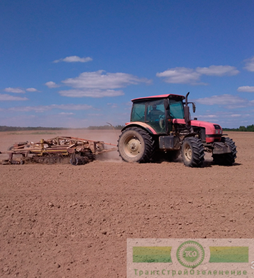 Технология производства газона