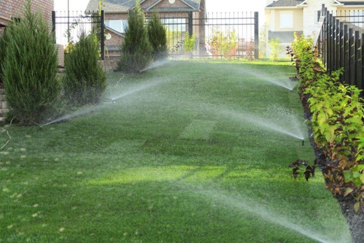 Автополив газона