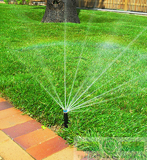 Ландшафтный дизайн