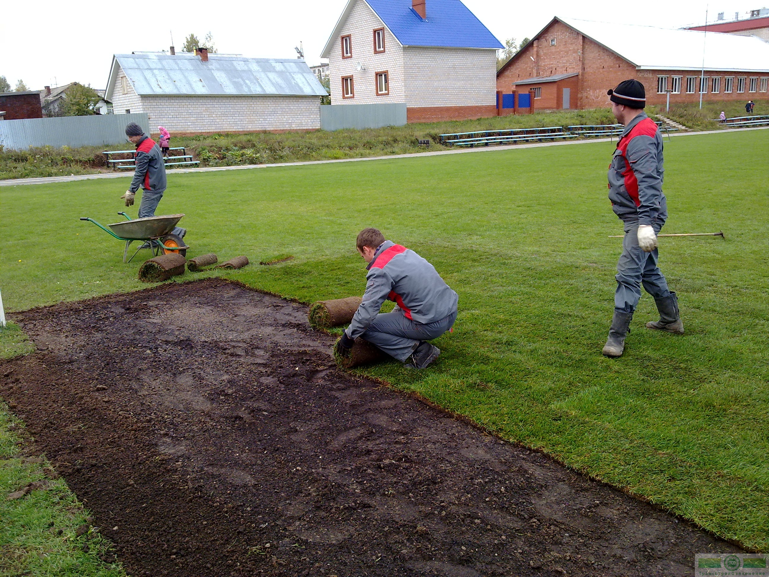 на старый газон